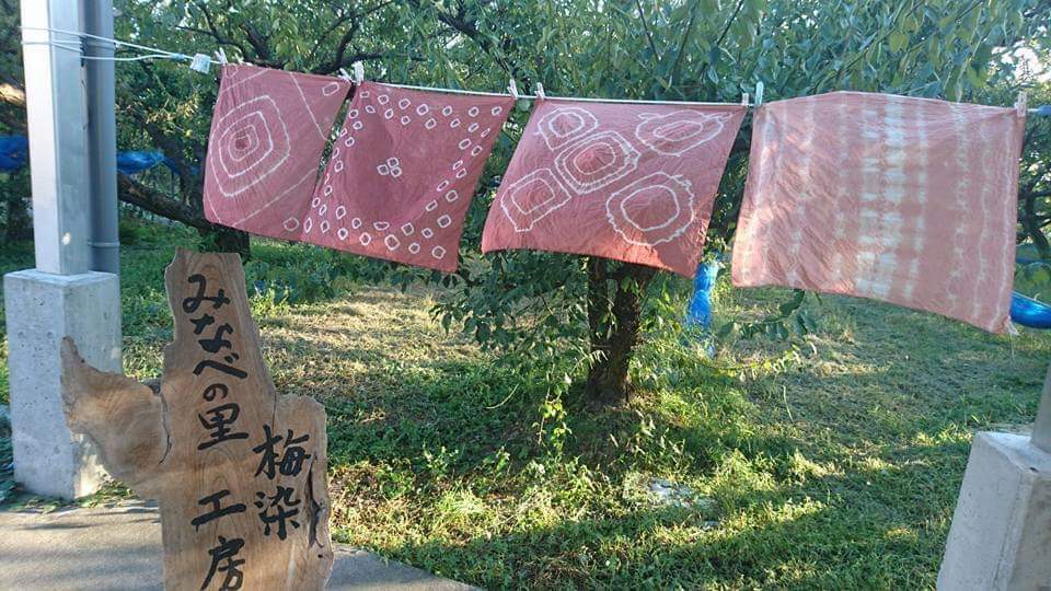 梅染め体験 みなべの里梅染工房 紀中を巡るhidaka History