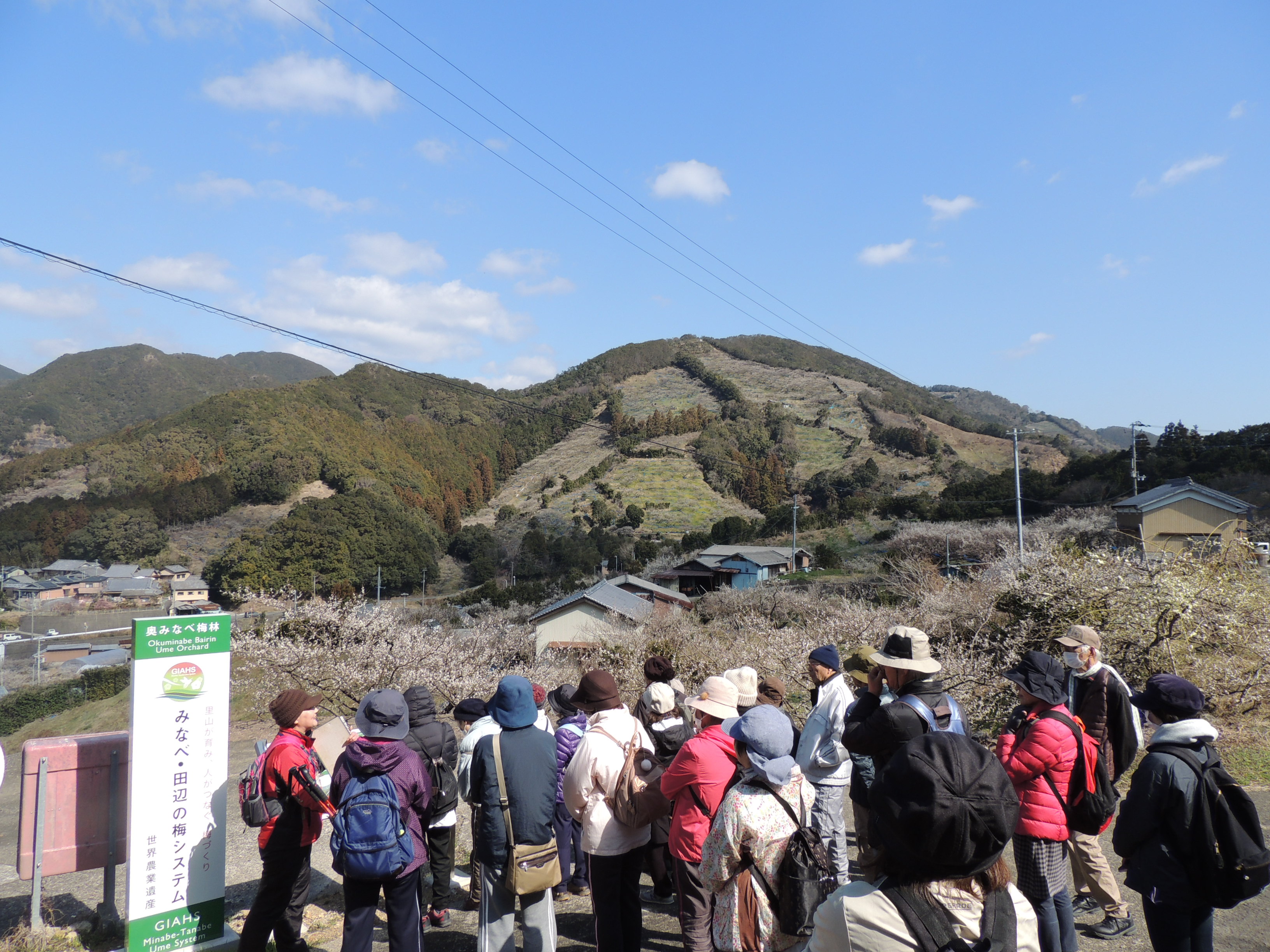 みなべ観光ガイド 紀中を巡るhidaka History
