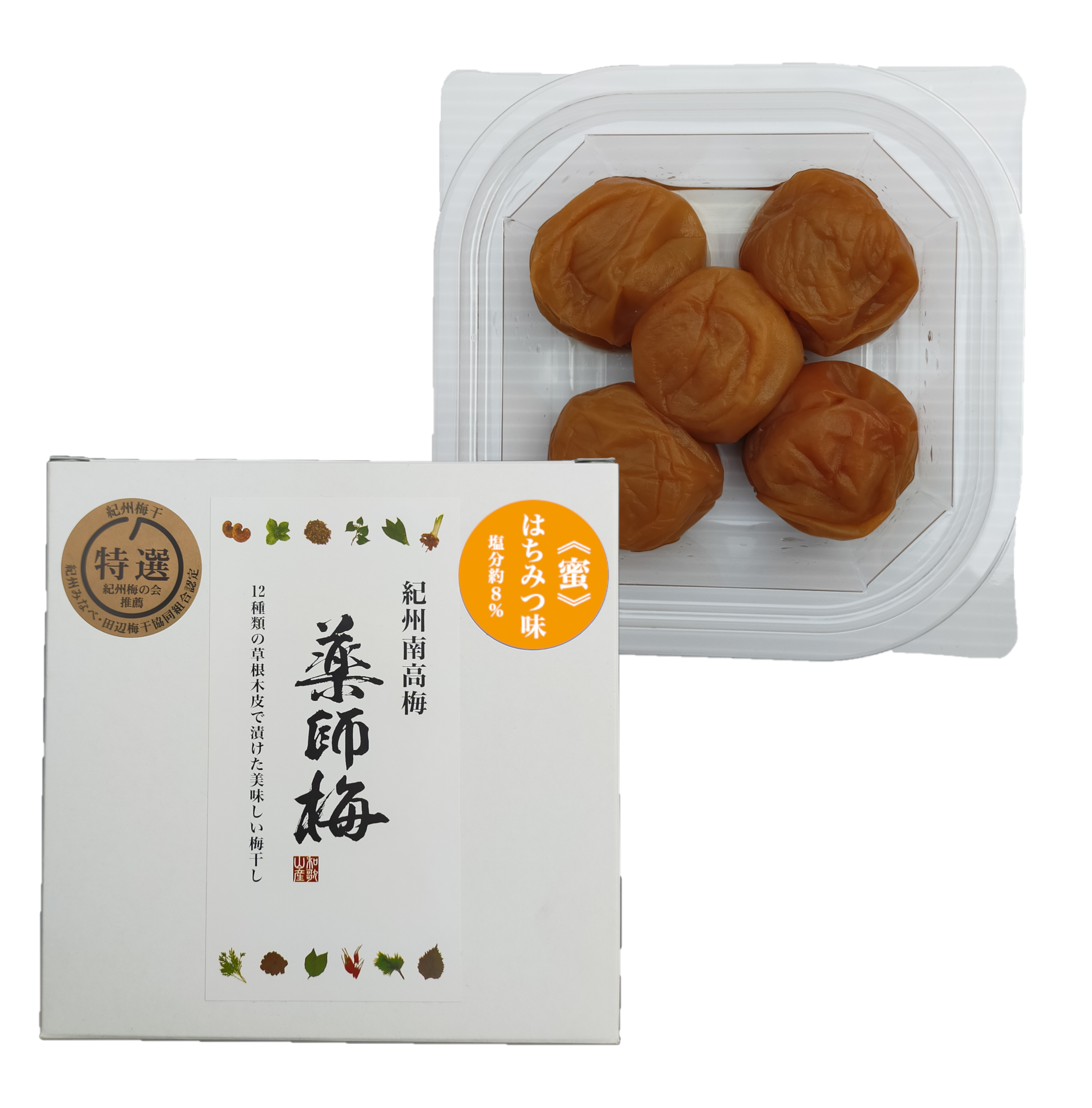 薬師乃蜜 紀中を巡るhidaka History